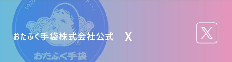公式X